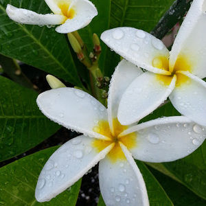 Meet your Posher, Margaret